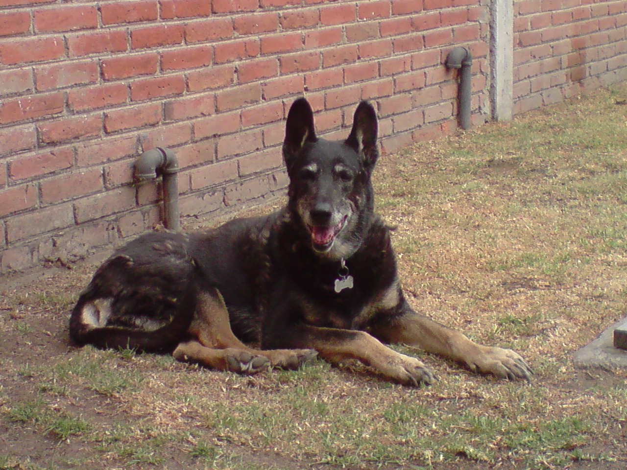 Kas